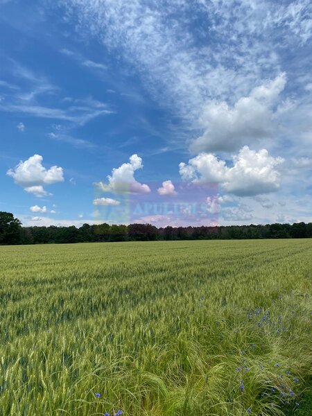 9,4 ha teren langa DEx12 Pitesti | 2,85 €/mp | loturi sau pachet