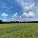 9,4 ha teren langa DEx12 Pitesti | 2,85 €/mp | loturi sau pachet